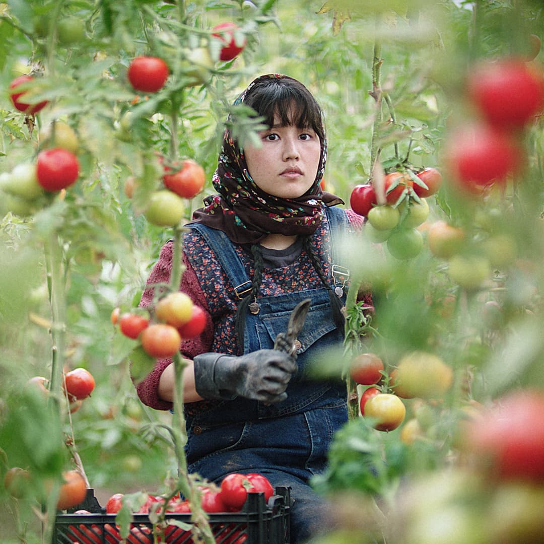 Directors' Debuts Competition 2024 Lineup!