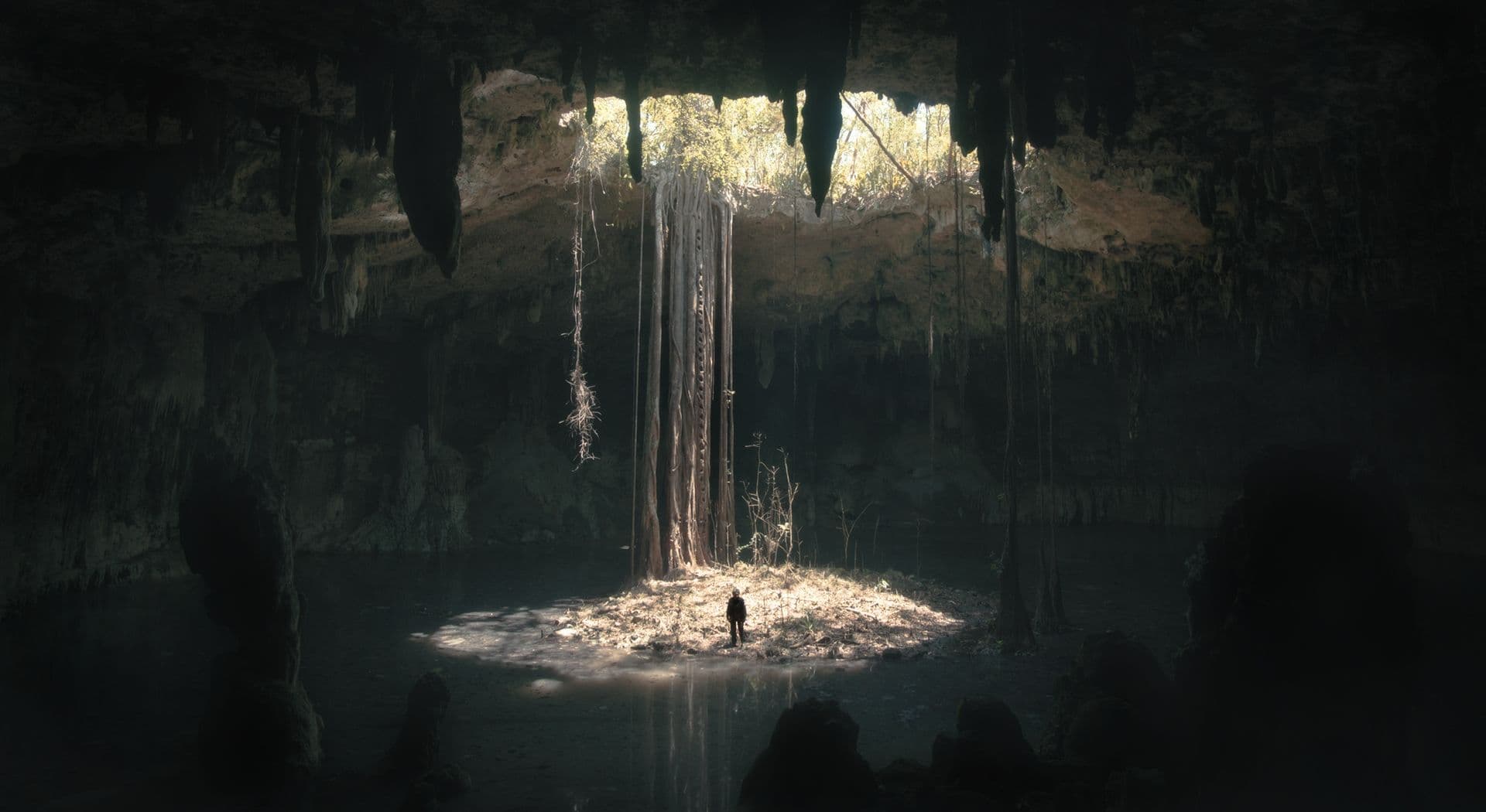 WWW_Pokazy specjalne filmów dokumentalnych.jpg