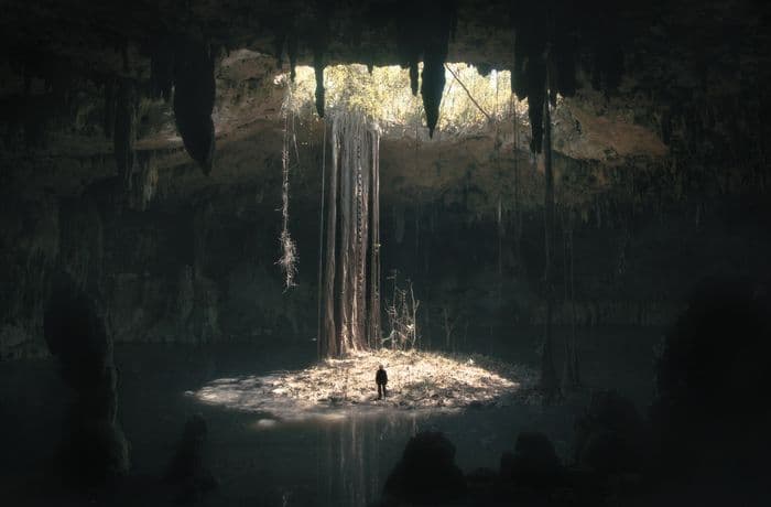 EnergaCAMERIMAGE 2025 Documentary Special Screenings